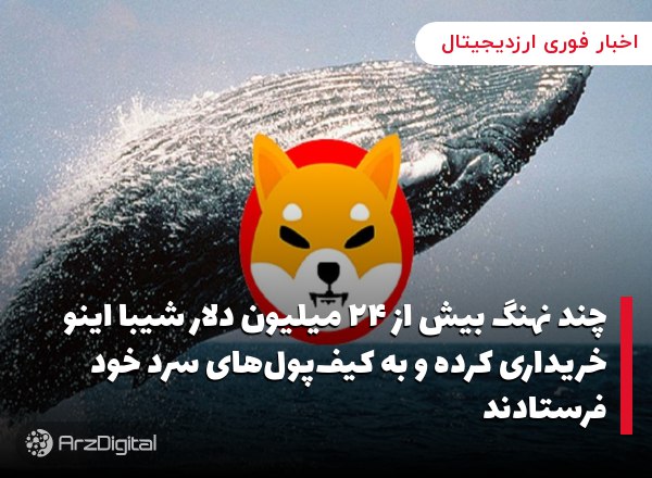 چند نهنگ بیش از ۲۴ میلیون دلار شیبا اینو خریداری کرده و به کیف‌پول‌های سرد خود فرستادند