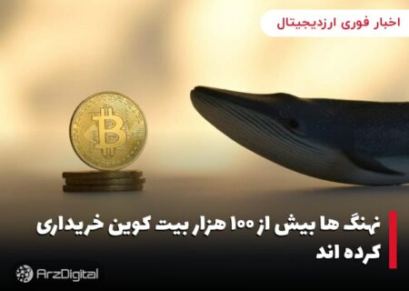 نهنگ ها بیش از ۱۰۰ هزار بیت کوین خریداری کرده اند