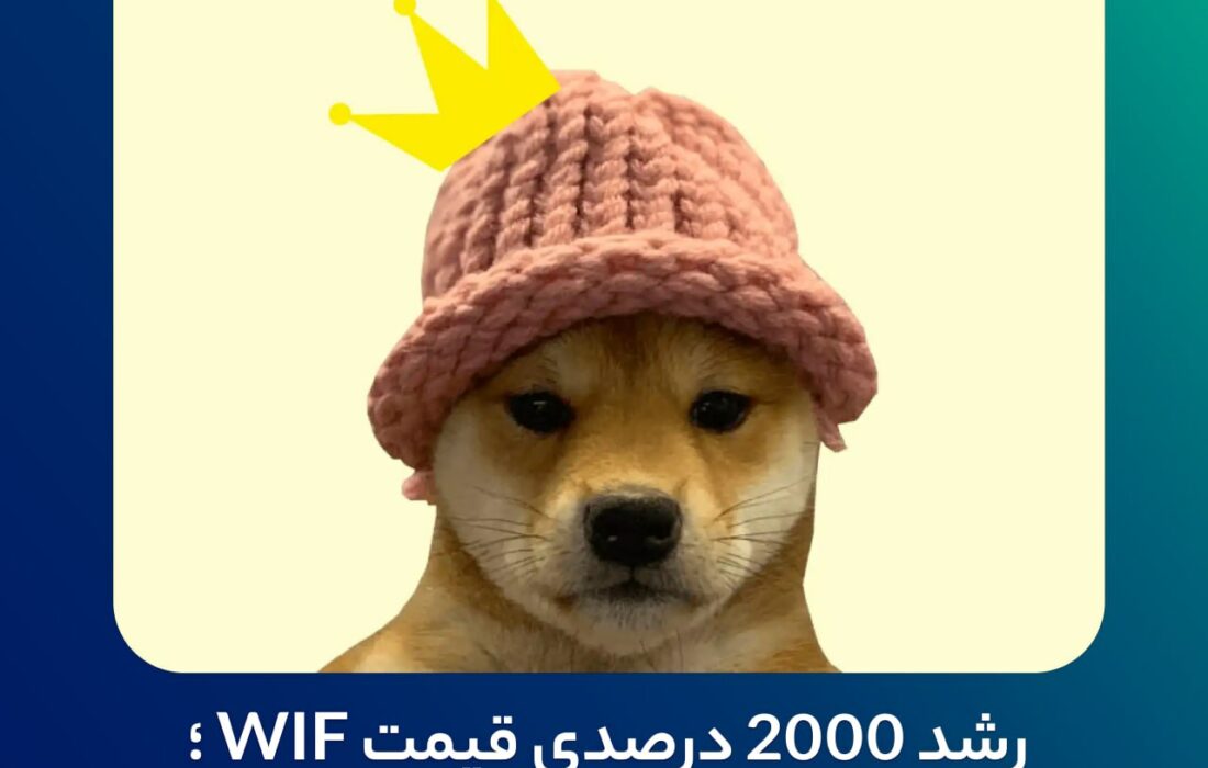 رشد ۲۰۰۰ درصدی قیمت WIF ؛ آیا این تازه آغاز کار است؟