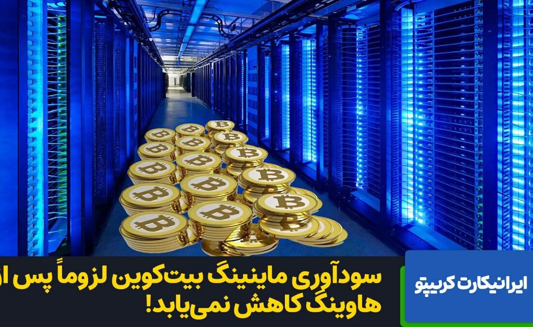 اظهار نظر مدیرعامل Acheron Trading، درمورد کارمزد شبکه بیت‌کوین پس از هاوینگ