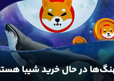 نهنگ‌ها در حال خرید شیبا هستند.