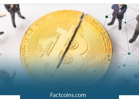 اثرات هاوینگ بیت کوین: میانگین درآمد بلاک به ۲۱.۷۴ رسید