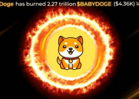 بی‌بی دوج در ۲۴ ساعت گذشته ۲٫۲۷ تریلیون دلار BabyDoge (4.36 هزار دلار) سوزانده است!