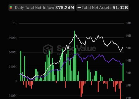 جریان های ورودی به ETF آمریکایی از سر گرفته شده و دیروز به ۳۷۸ میلیون دلار رسید.