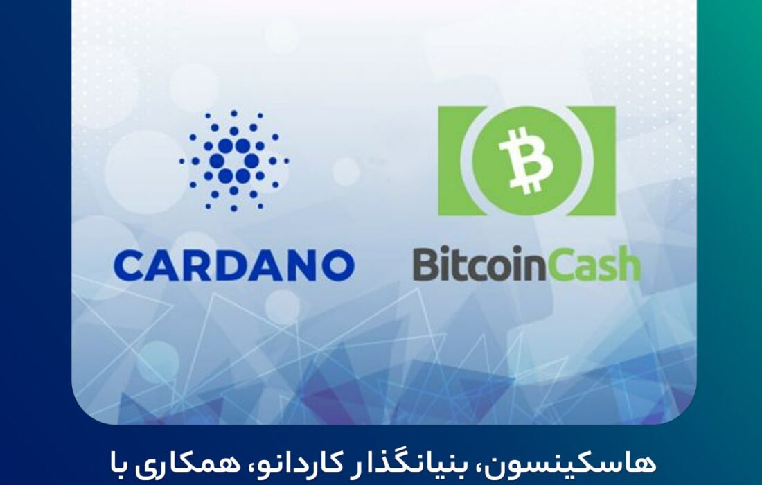 هاسکینسون، بنیانگذار کاردانو، همکاری با شبکه بیتکوین کش را مطرح کرد