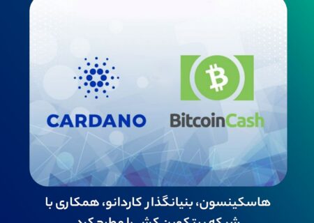 هاسکینسون، بنیانگذار کاردانو، همکاری با شبکه بیتکوین کش را مطرح کرد