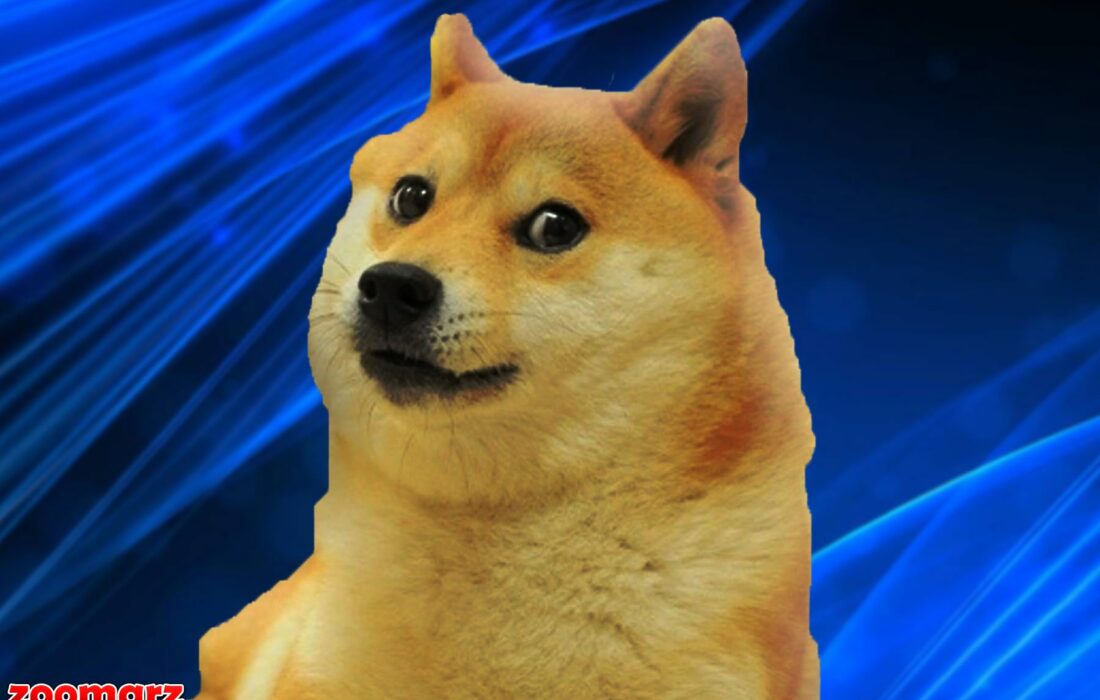 به‌طور رسمی رمزارز DOGE به گروه کارت‌های پرداخت تسلا پیوست