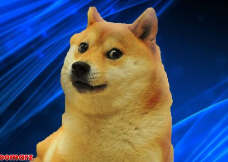 به‌طور رسمی رمزارز DOGE به گروه کارت‌های پرداخت تسلا پیوست