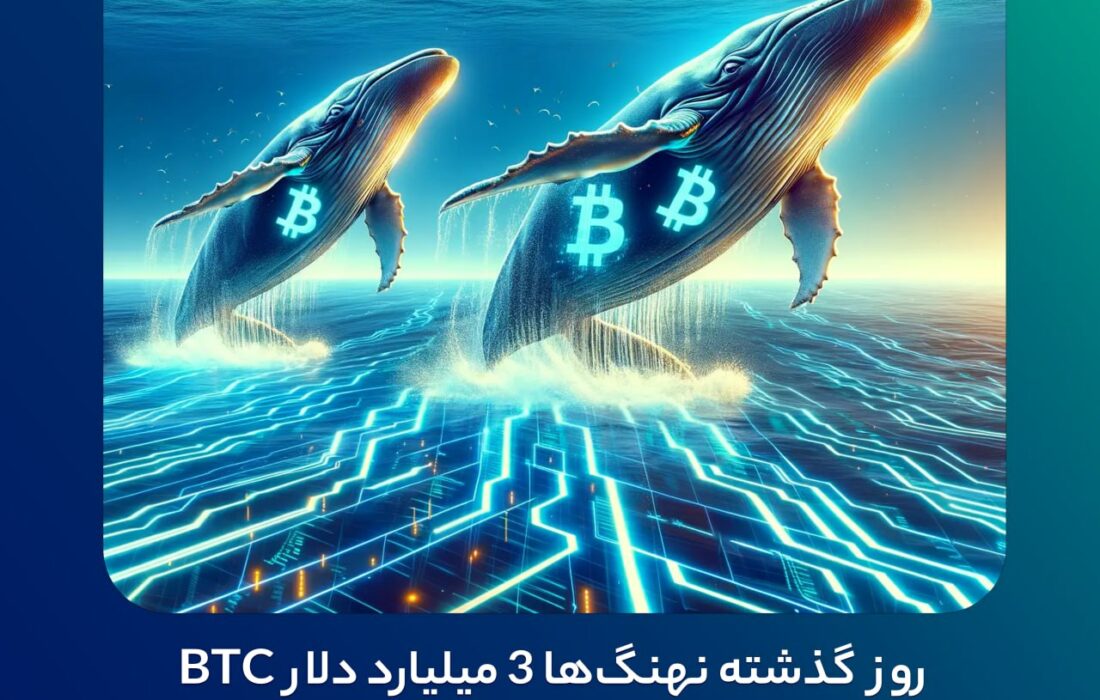 روز گذشته نهنگ‌ها ۳ میلیارد دلار BTC خریداری کرده‌اند