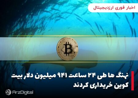 نهنگ ها طی ۲۴ ساعت ۹۴۱ میلیون دلار بیت کوین خریداری کردند