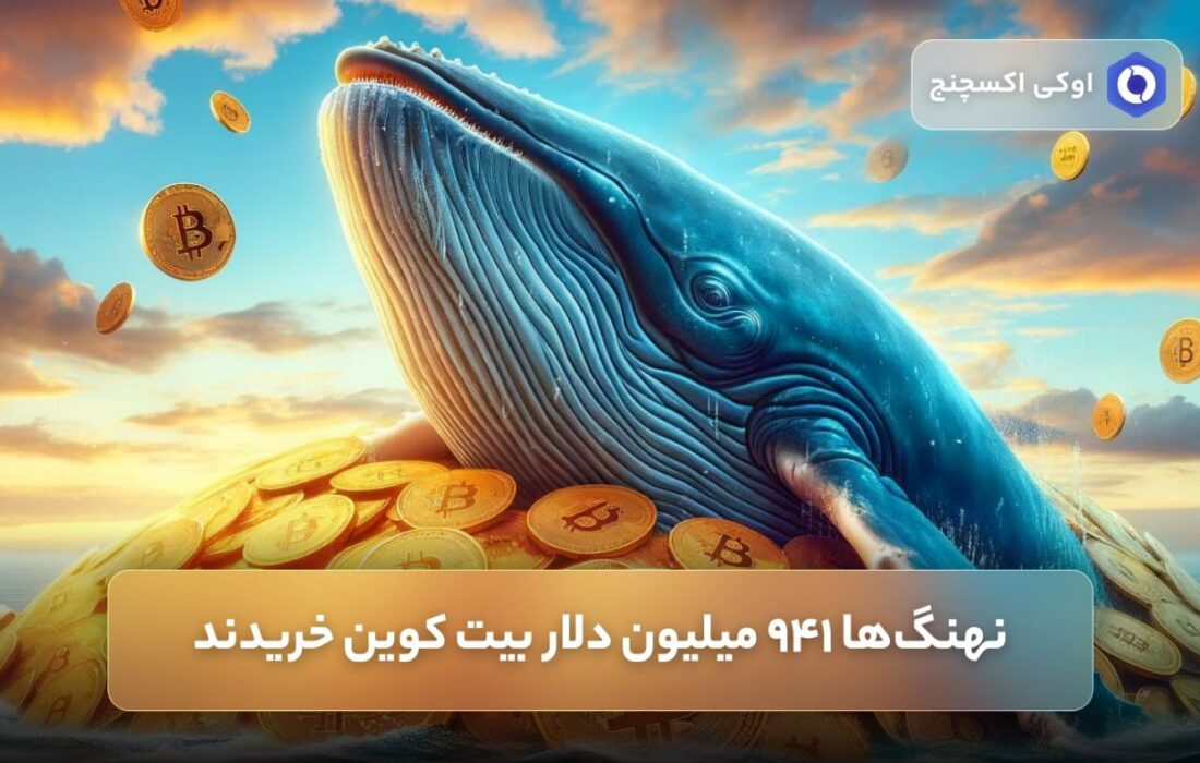 نهنگ‌ها ۹۴۱ میلیون دلار بیت کوین خریدند.