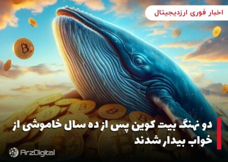دو نهنگ بیت کوین پس از ده سال خاموشی از خواب بیدار شدند