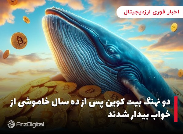 دو نهنگ بیت کوین پس از ده سال خاموشی از خواب بیدار شدند