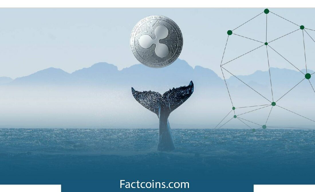انتقال ۷۵٫۸ میلیون دلار ریپل (XRP) توسط یک نهنگ!