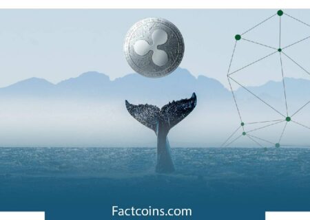 انتقال ۷۵٫۸ میلیون دلار ریپل (XRP) توسط یک نهنگ!