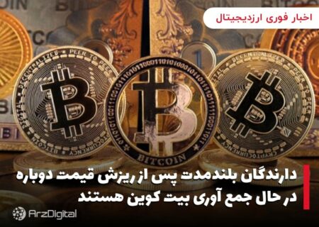 دارندگان بلندمدت پس از ریزش قیمت دوباره در حال جمع آوری بیت کوین هستند