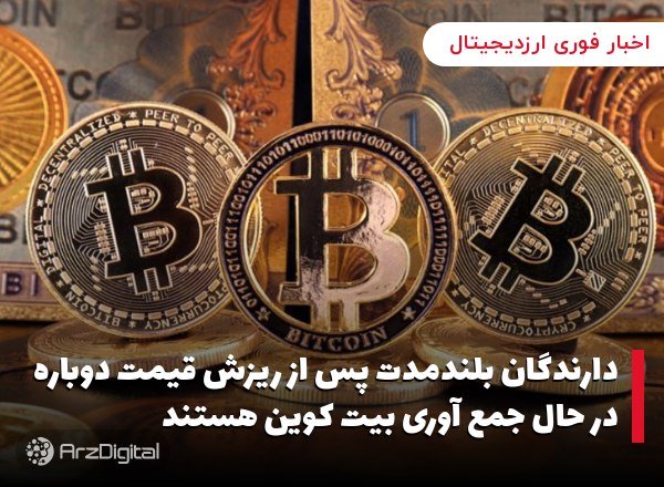 دارندگان بلندمدت پس از ریزش قیمت دوباره در حال جمع آوری بیت کوین هستند