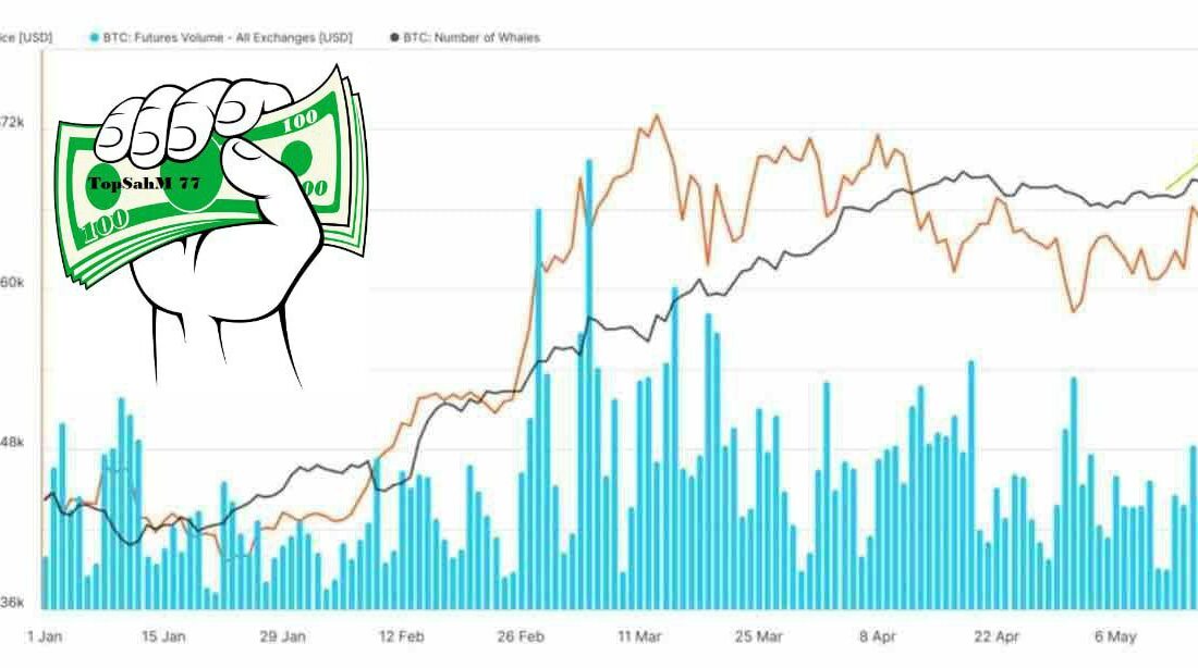 بر اساس داده های گلاسنود، تعداد نهنگ های بیت کوین در حال افزایش است!