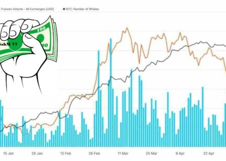 بر اساس داده های گلاسنود، تعداد نهنگ های بیت کوین در حال افزایش است!