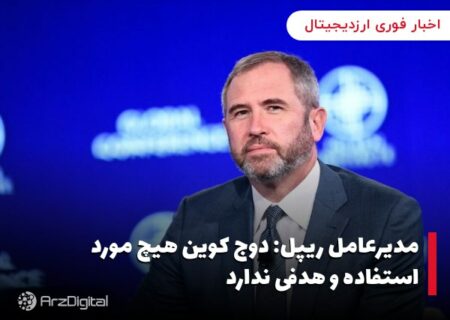 مدیرعامل ریپل: دوج کوین هیچ مورد استفاده و هدفی ندارد