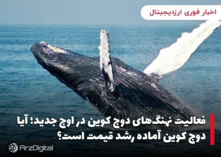 فعالیت نهنگ‌های دوج کوین در اوج جدید؛ آیا دوج کوین آماده رشد قیمت است؟