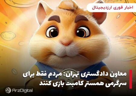 معاون دادگستری تهران: مردم فقط برای سرگرمی همستر کامبت بازی کنند