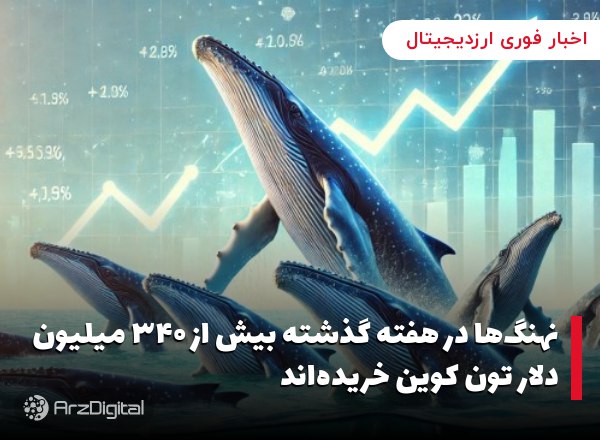 نهنگ‌ها در هفته گذشته بیش از ۳۴۰ میلیون دلار تون کوین خریده‌اند