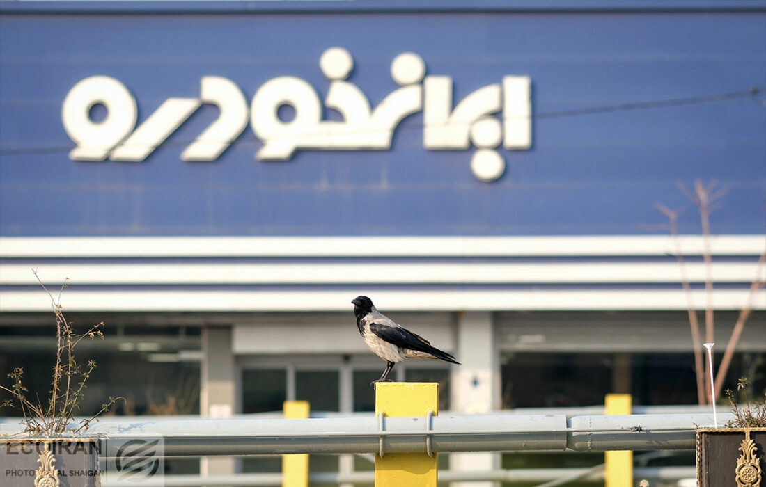 آغاز فروش فوری ایران خودرو با قیمت قطعی + جدول