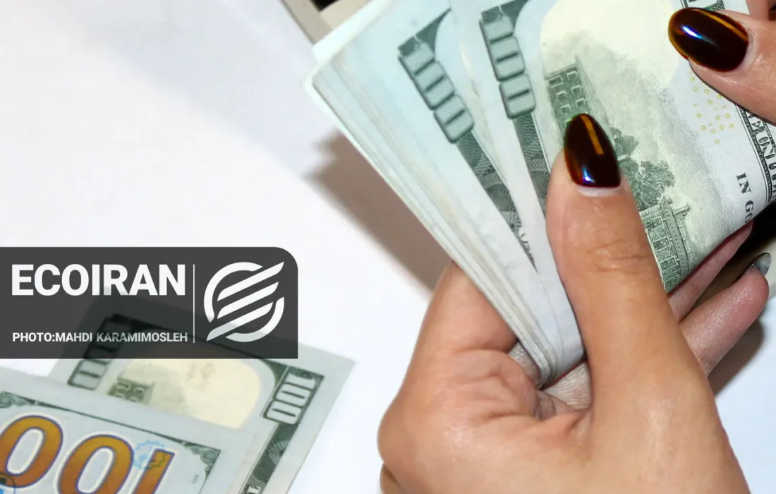 ارز ترجیحی قربانی چند نفر شد/ ۶ میلیارد دلار کجا رفت؟