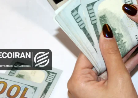 ارز ترجیحی قربانی چند نفر شد/ ۶ میلیارد دلار کجا رفت؟