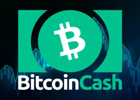 بیت‌ کوین‌ کش با جهش ۴۰ درصدی بهترین دارایی لایه‌یک سال شد