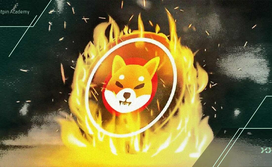 تحلیل شیبا اینو: فعالیت نهنگ‌های شیبا اینو به بالاترین سطح ۶ ماهه رسید!