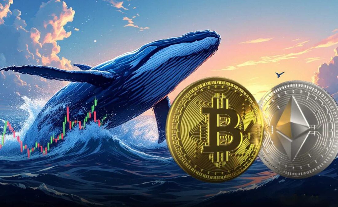 توقف فروش بیت کوین توسط هولدرهای قدیمی و افزایش خرید نهنگ‌های اتریوم