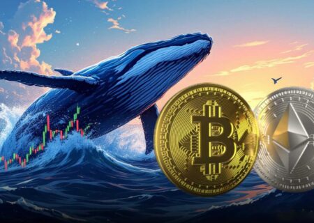 توقف فروش بیت کوین توسط هولدرهای قدیمی و افزایش خرید نهنگ‌های اتریوم