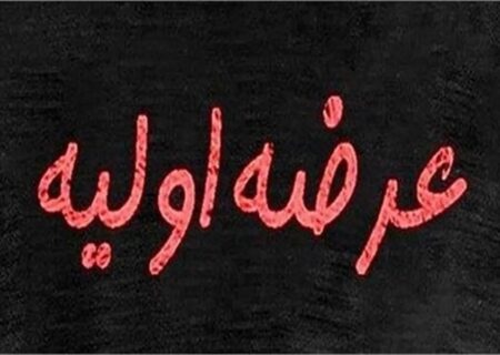 جزئیات عرضه اولیه اروند/ سهامداران بورس بخوانند