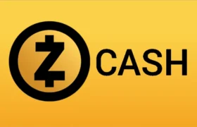 رائول پال: رشد زیکش نشانه چرخش سرمایه است، نه روند صعودی ساختاری