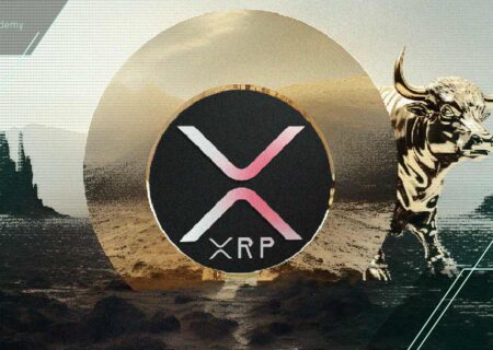 ریپل (XRP) در حمایت کلیدی؛ سیگنال‌‌های تکنیکال جدی برای شروع صعود!