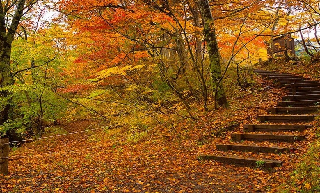 سفر پاییزی با خانواده؛ برنامه‌های خانوادگی و تفریحات پاییزی