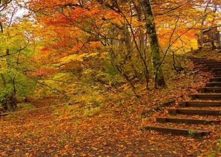 سفر پاییزی با خانواده؛ برنامه‌های خانوادگی و تفریحات پاییزی