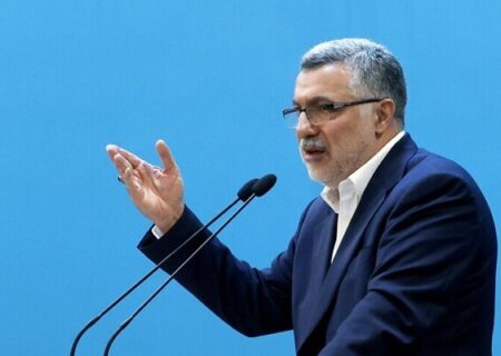 ظفرقندی: مددکاری اجتماعی ترکیبی از علم، هنر و تعهد انسانی است