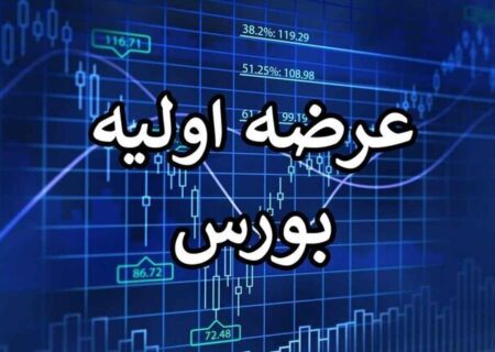عرضه اولیه غول بزرگ پتروشیمی در بورس/ زمان و جزئیات عرضه اعلام شد