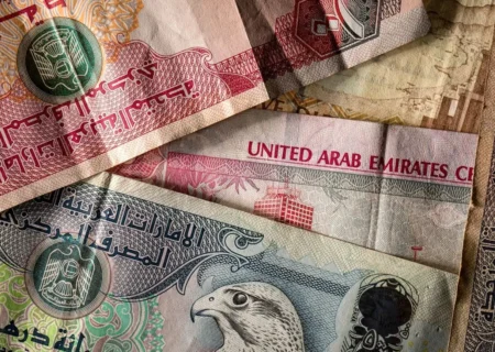قیمت درهم امروز یکشنبه ۷دی/ افزایش قیمت + جدول و جزئیات