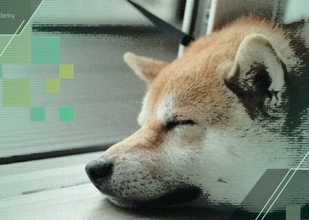 موج فروش سنگین دوج‌ کوین معامله‌گران را شوکه کرد!