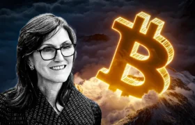 کتی وود: کف قیمتی بیت کوین شکل گرفته است