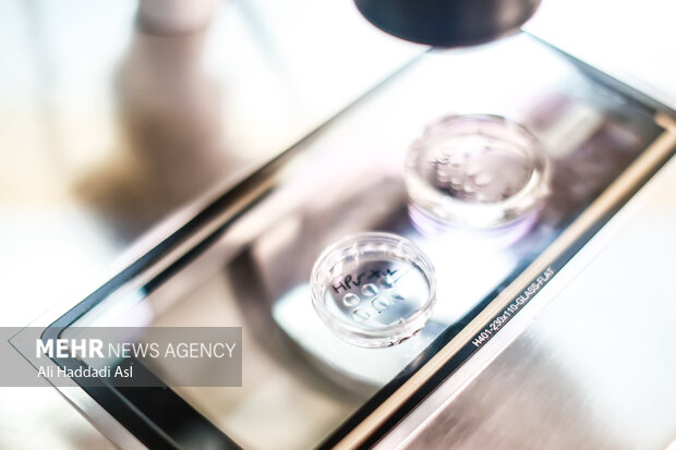 فریز جنین چیست و برای چه کسانی توصیه میشود؟ فریز جنین چیست و برای چه کسانی توصیه میشود؟