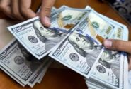 پایان استفاده از ارزهای تحمیلی/ مخالفت با واردات بدون انتقال ارز از ابتدا اشتباه بود