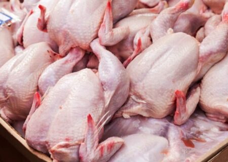 چراغ سبز به صادرات گوشت مرغ / قیمت‌ها در بازار داخلی بالا می‌رود؟