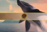 نهنگ‌های بیت کوین همچنان خریدارند؛ انباشت بیش از ۱ میلیون BTC در دو ماه