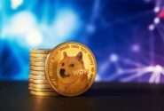 نهنگ‌های دوج کوین ۴۷۰ میلیون DOGE خریداری کردند؛ بازار در انتظار نشست کاخ سفید