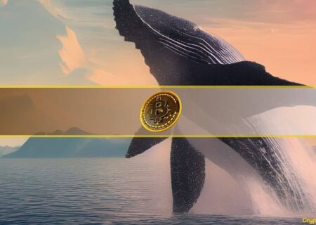 یک نهنگ خفته ۳۸۰ میلیون دلار بیت کوین را منتقل کرد